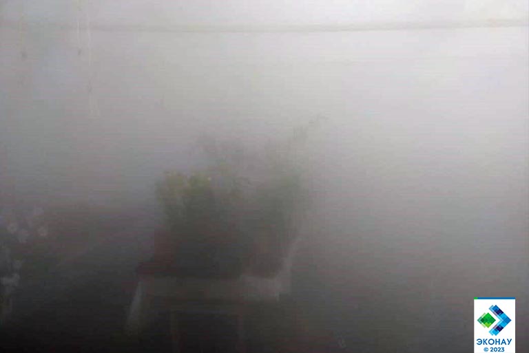 Туман в теплице для выращивания цветов