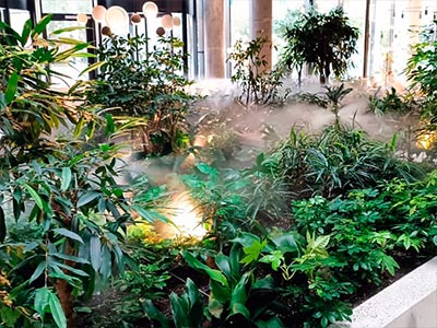 Увлажнение декоративных растений в помещении микротуманом